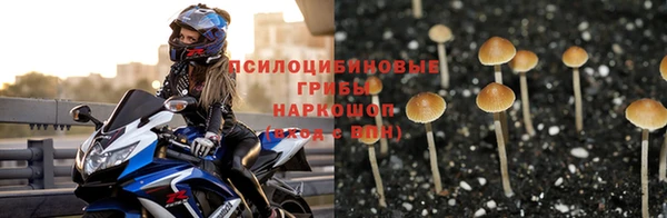 скорость Кодинск