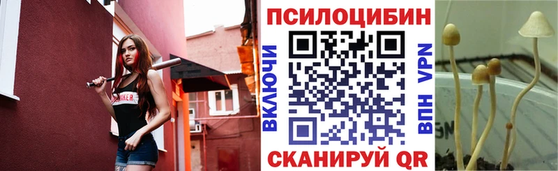 Галлюциногенные грибы Magic Shrooms  Купить где  Зеленоградск 