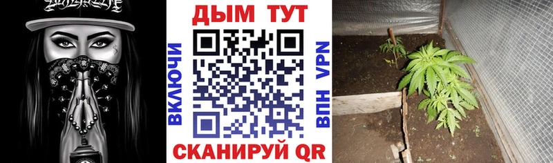 МАРИХУАНА Amnesia  Купить  Зеленоградск 